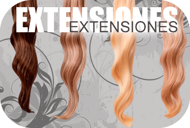Extensiones